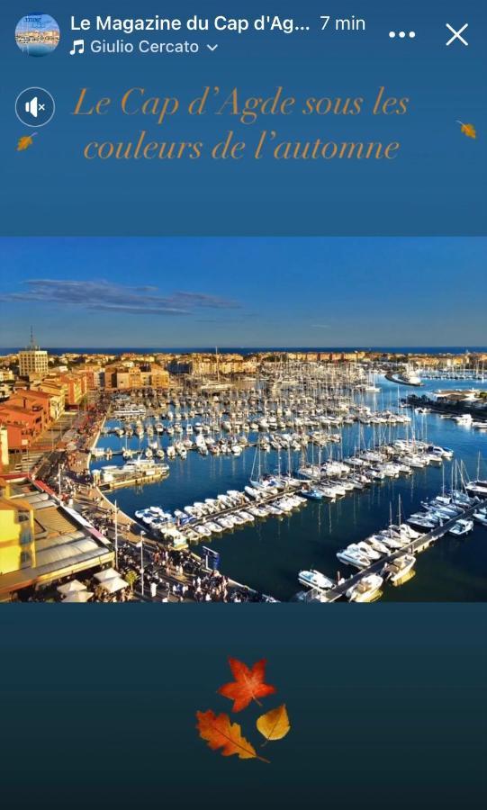 Studio La Grande Roue Vue Magnifique Agde Eksteriør bilde